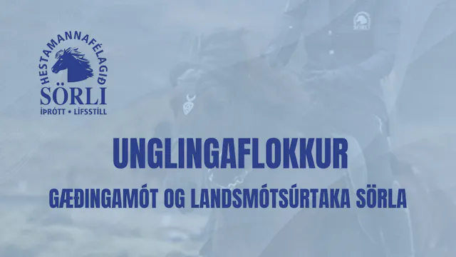 Unglingaflokkur - Gæðingamót Sörla og...