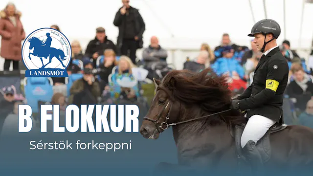 B flokkur preliminary round - Landsmó...
