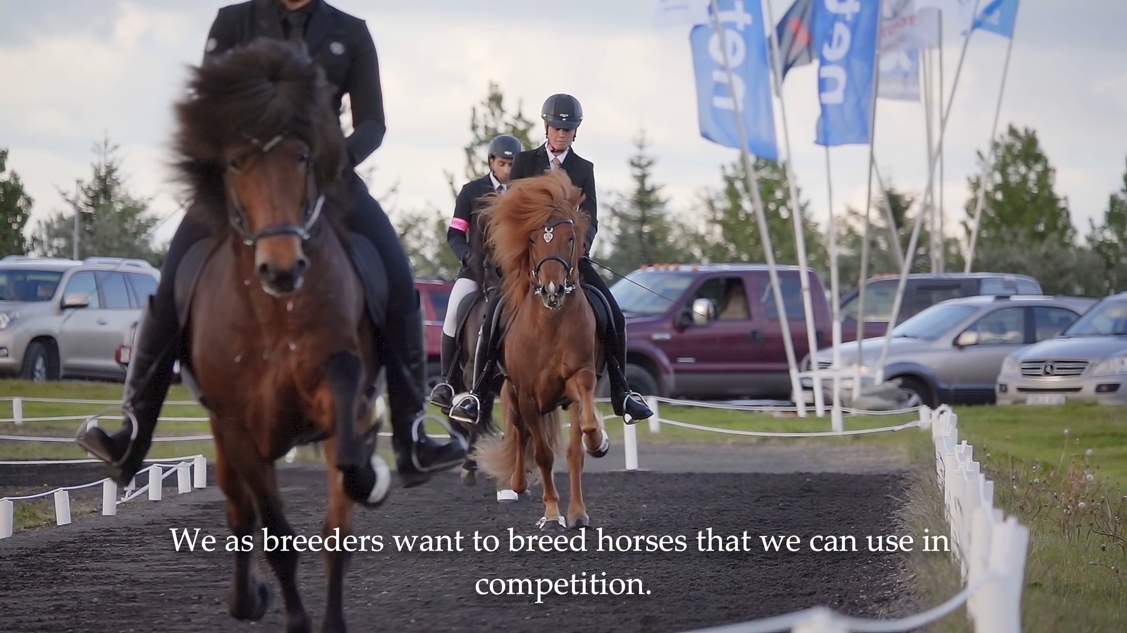 From Pasture into hands - Úr haga í hendur - English text