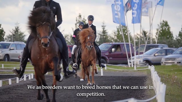 From Pasture into hands - Úr haga í h...