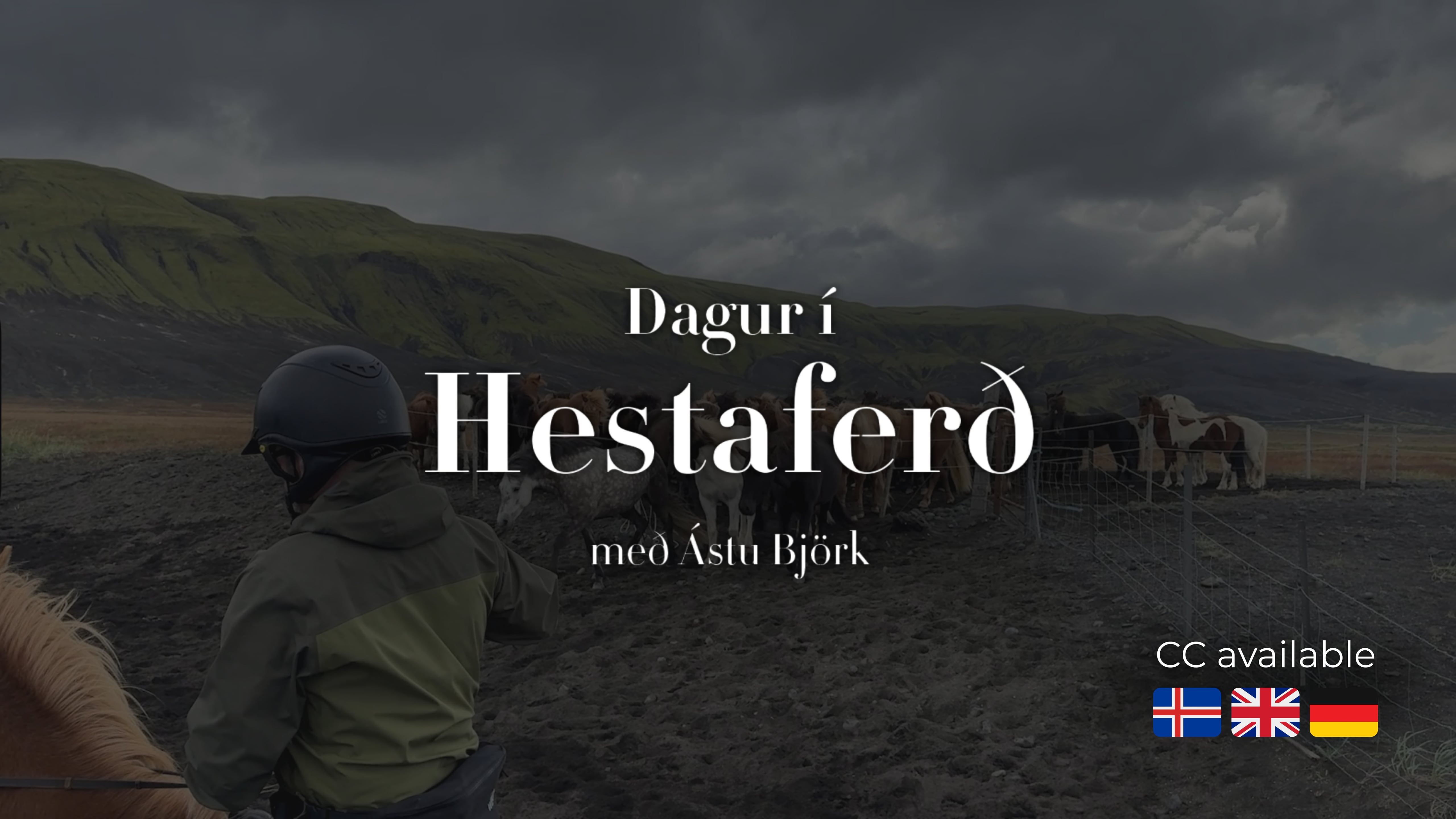 A day in a horse riding trip