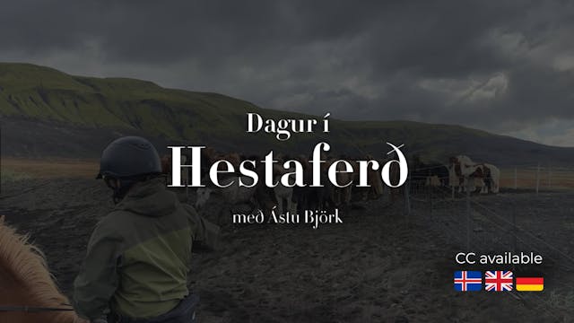 A day in a horse riding trip