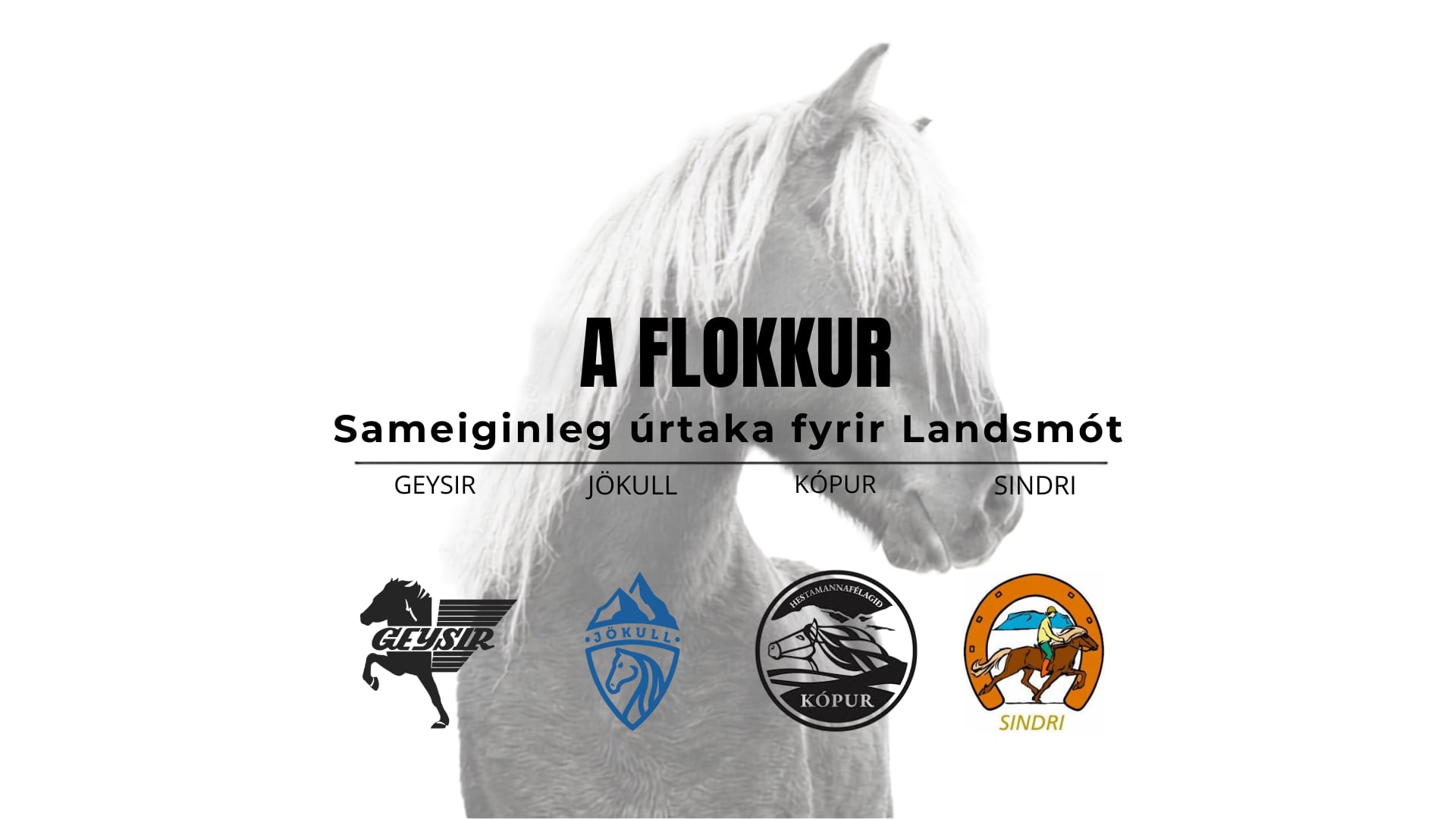 A flokkur - Landsmótsúrtaka Geysis, Jökuls, Kóps og Sindra