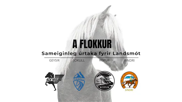 A flokkur - Landsmótsúrtaka Geysis, J...