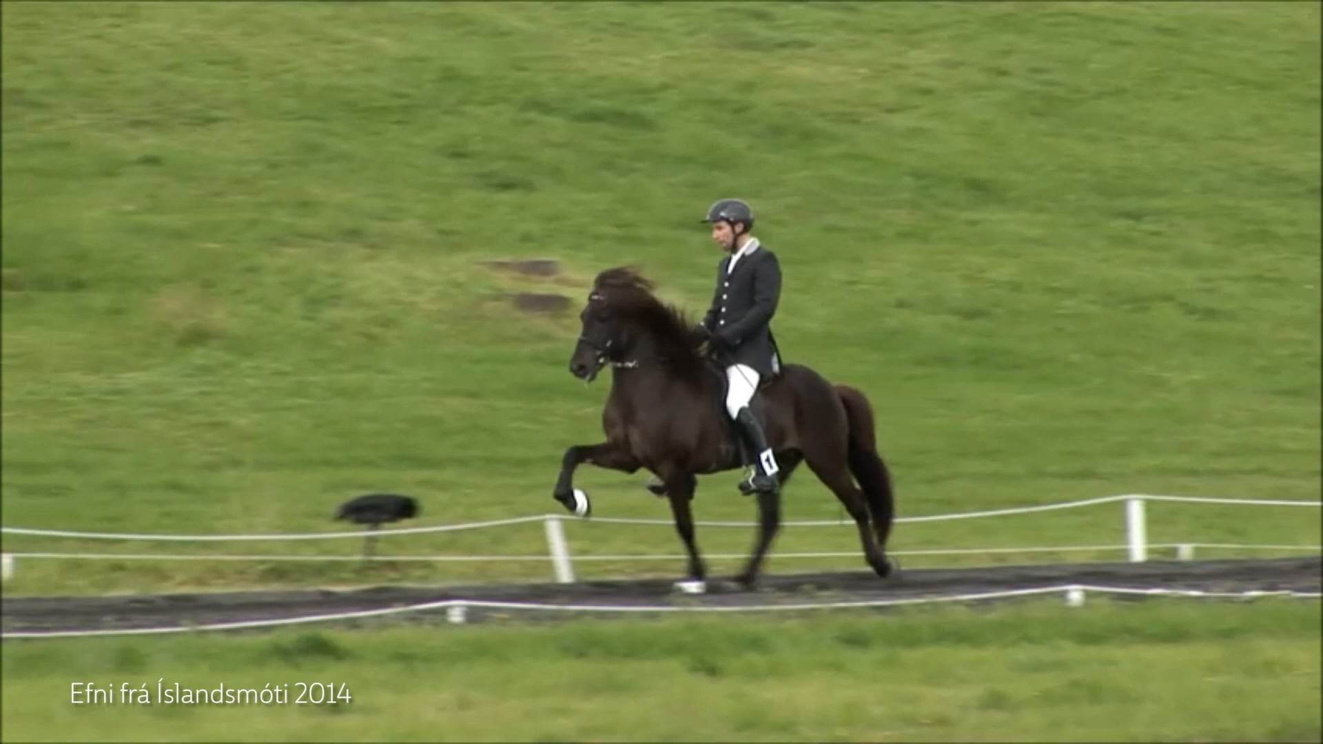 Árni Björn Pálsson Íslandsmeistari í tölti 2014