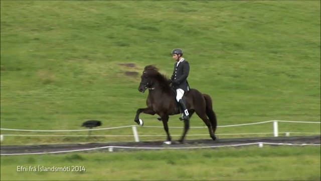 Árni Björn Pálsson Íslandsmeistari í ...