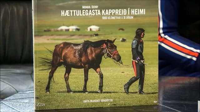 Viðtal við Anítu Aradóttir 2014