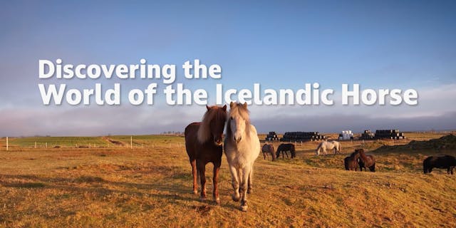 Discovering the World of the Icelandi...