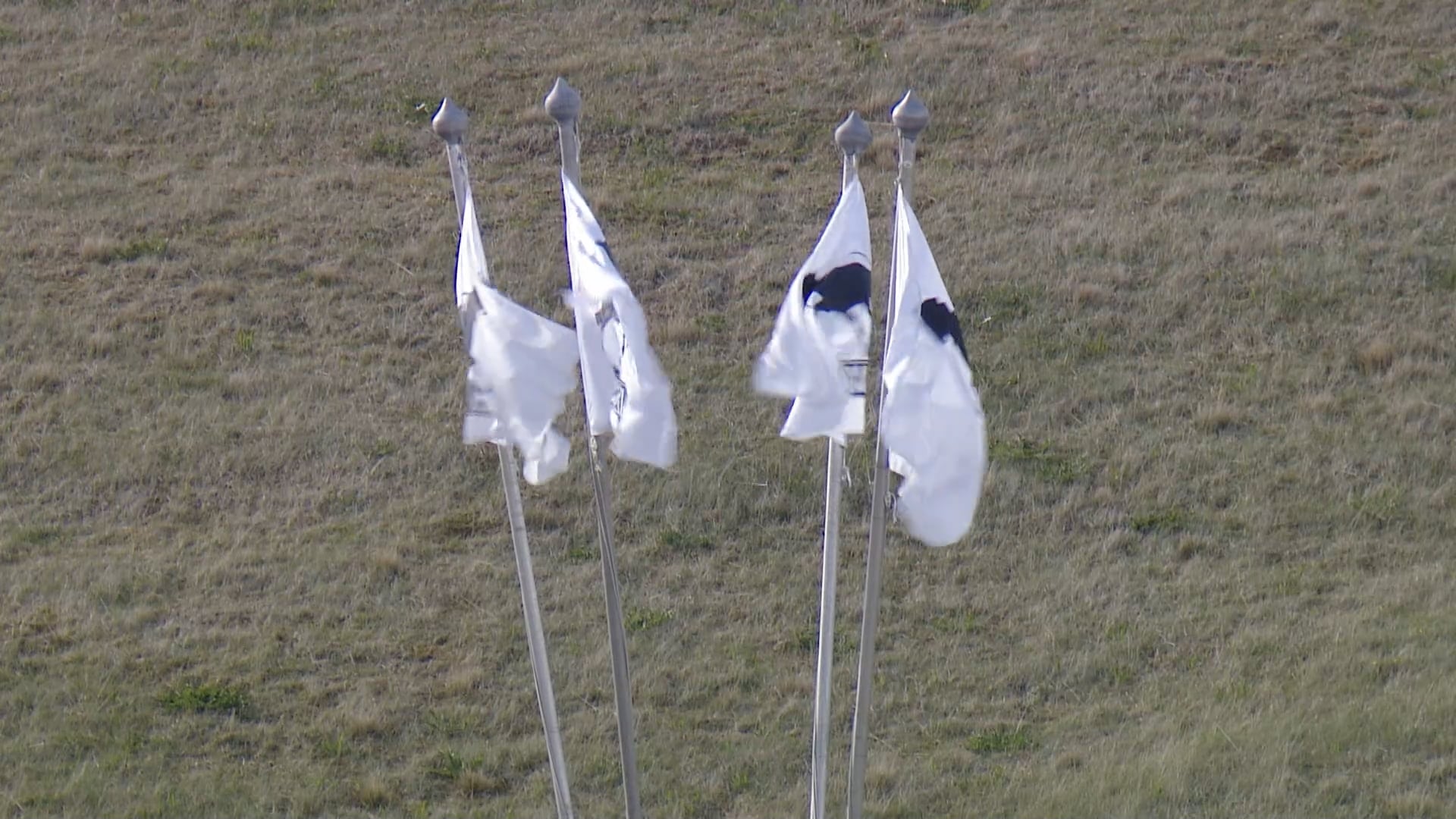 Fjórgangur V2 - 1. flokkur - A úrslit - Íþróttamót Spretts 2025