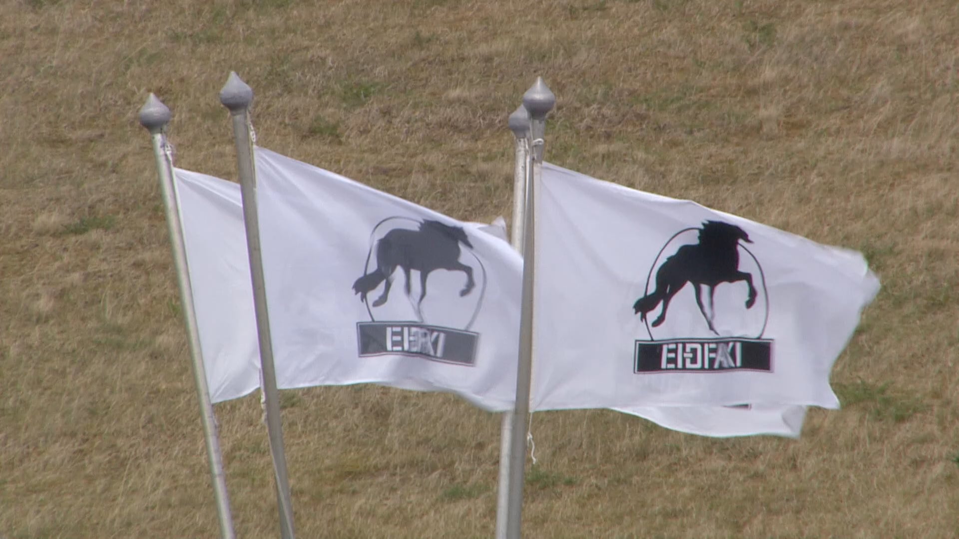 Tölt T4 - 1. flokkur - A úrslit - Íþróttamót Spretts 2025