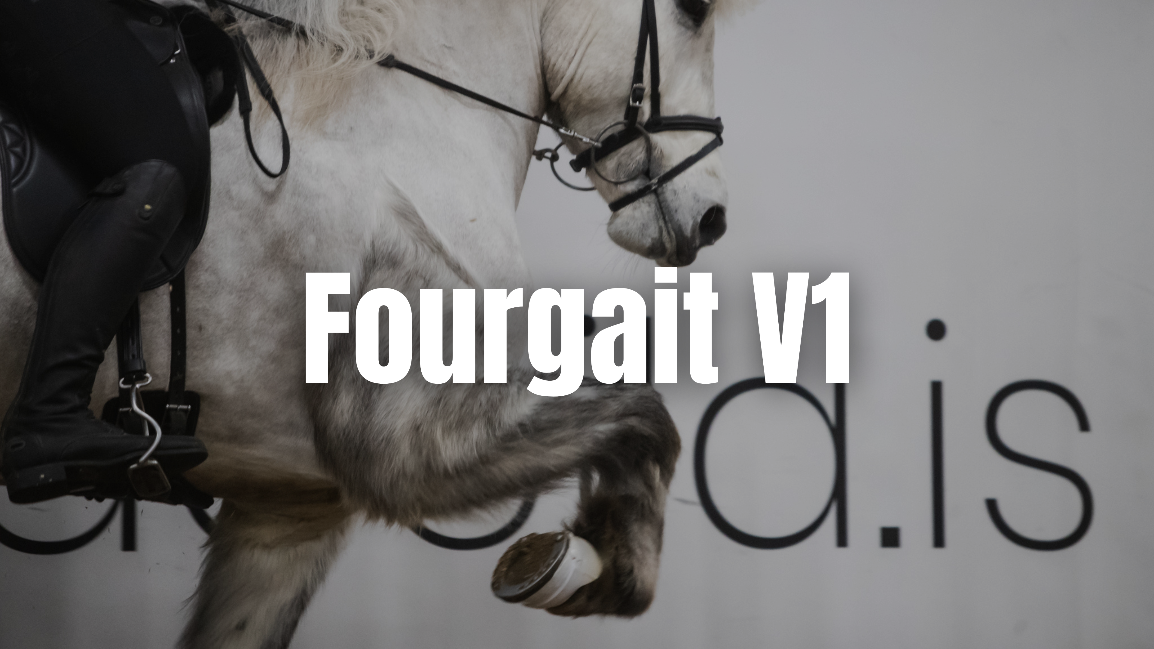 Meistaradeild 2025 - V1