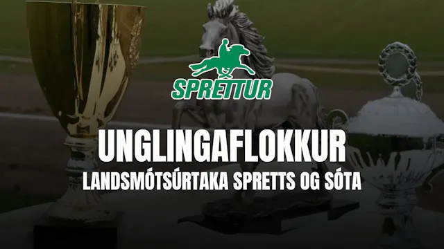 Unglingaflokkur - Gæðingamót Spretts ...