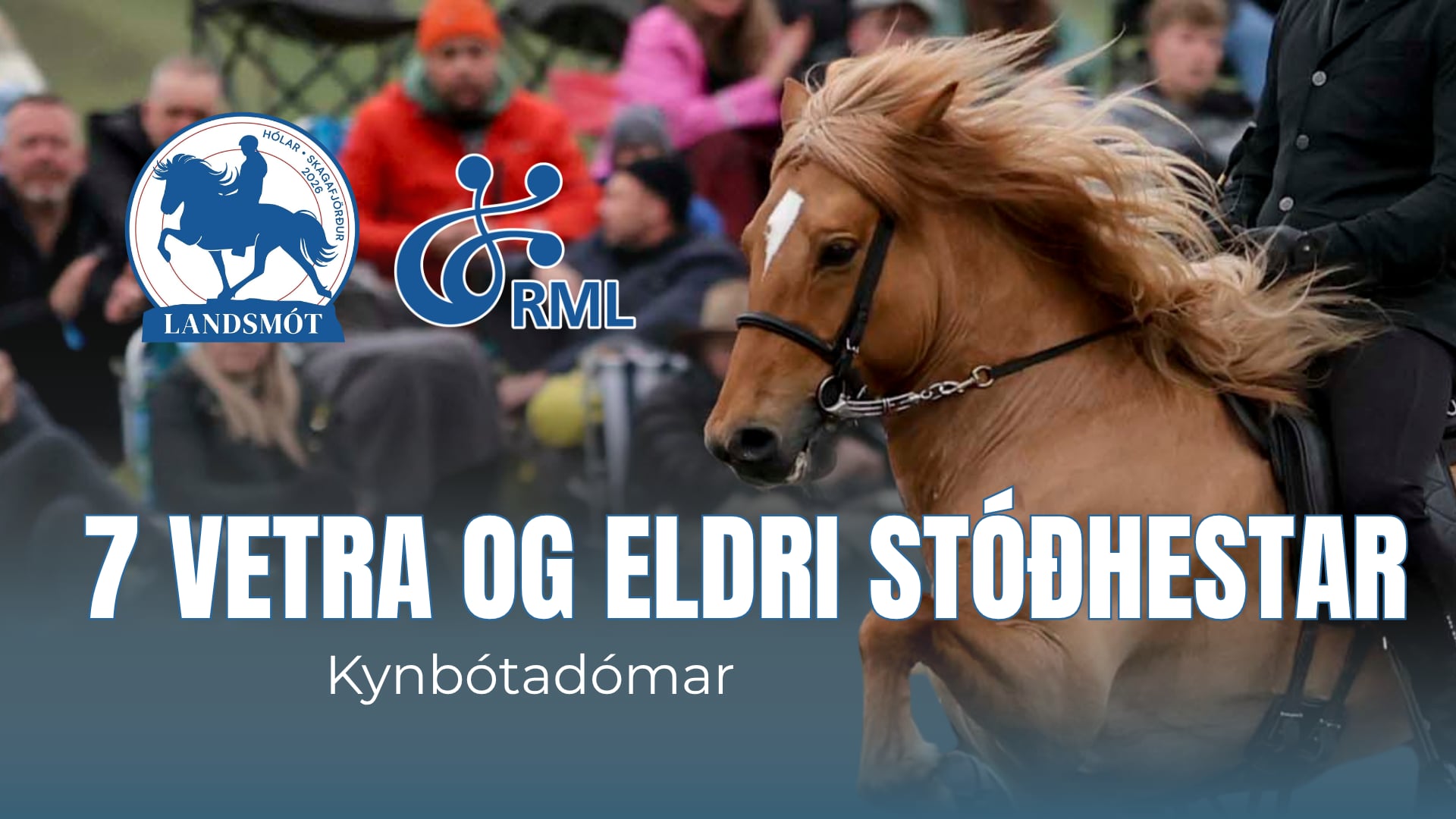 FIZO 7 years and older stallions - Landsmót hestamanna 2026