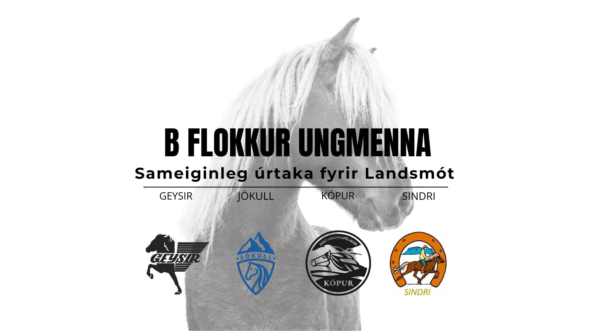 B flokkur ungmenna - Landsmótsúrtaka Geysis, Jökuls, Kóps og Sindra