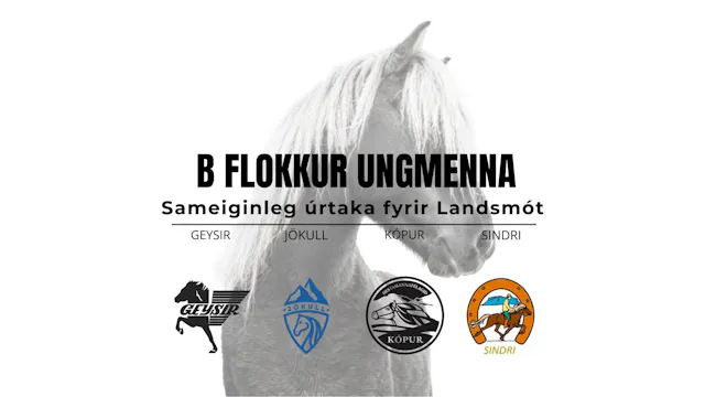 B flokkur ungmenna - Landsmótsúrtaka ...