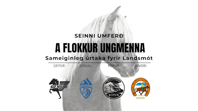 A flokkur ungmenna - Landsmótsúrtaka ...