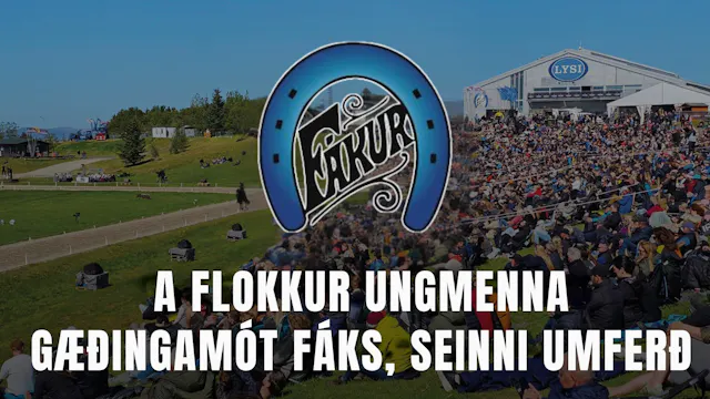 A flokkur ungmenna, seinni umferð - G...