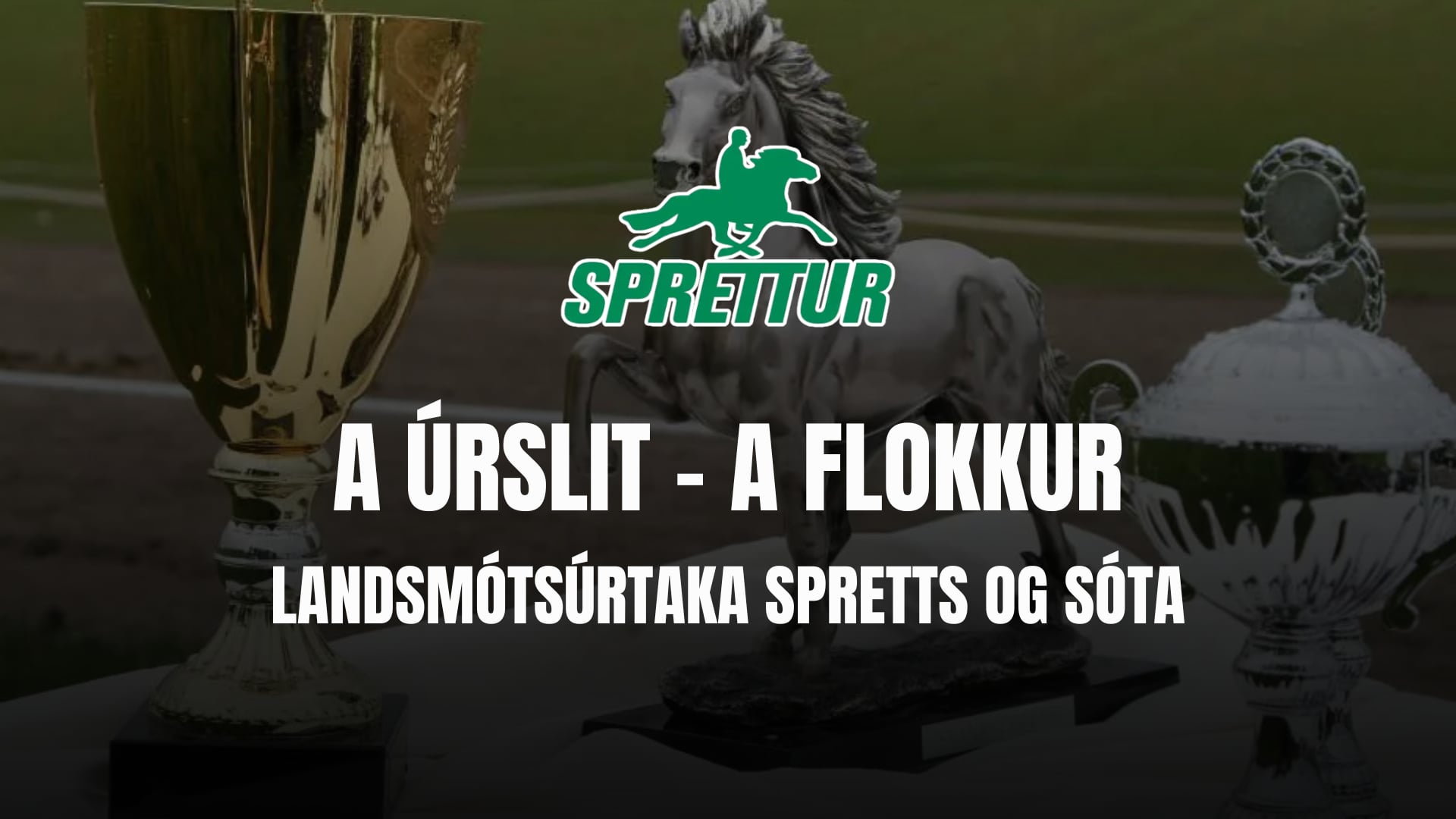A úrslit A flokkur - Gæðingamót Spretts