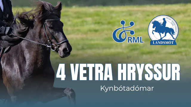 FIZO 4 year old mares - Landsmót hestamanna 2026