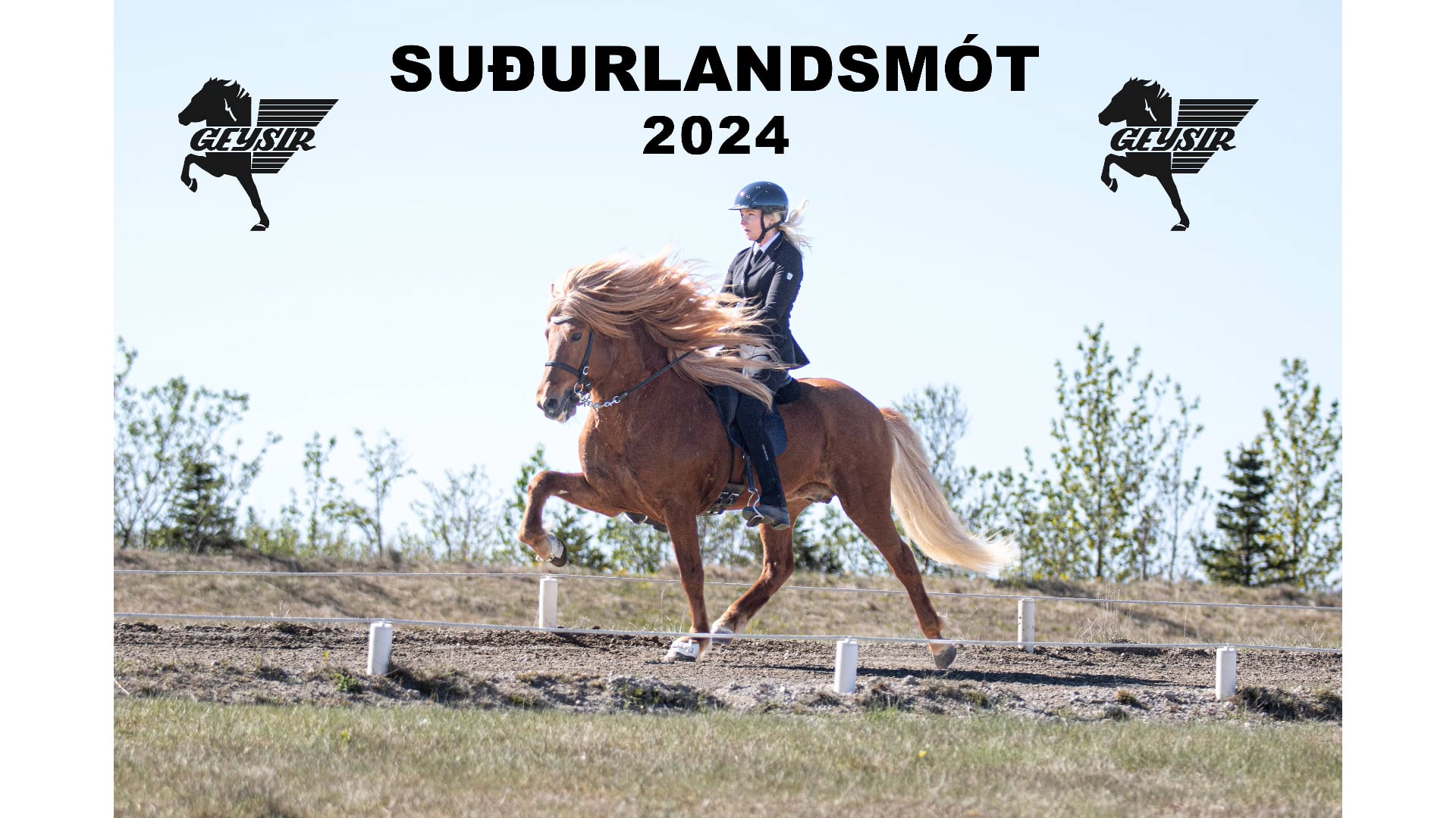 Suðurlandsmót 2024 - V1 Fjórgangur - Forkeppni