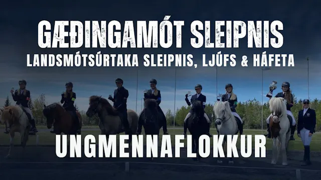 Ungmennaflokkur - Gæðingamót Sleipnis...