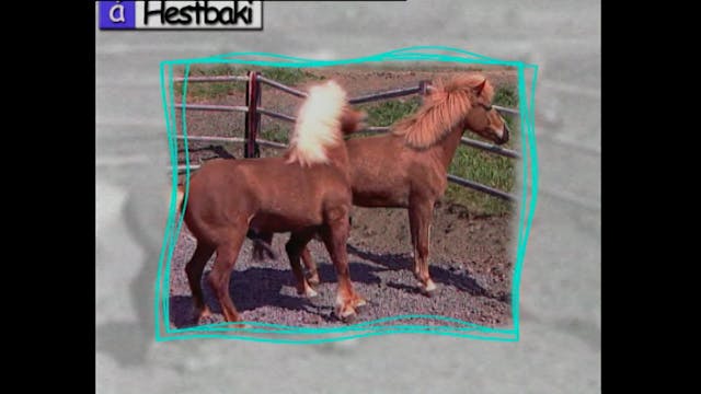 Á hestbaki 3.þáttur