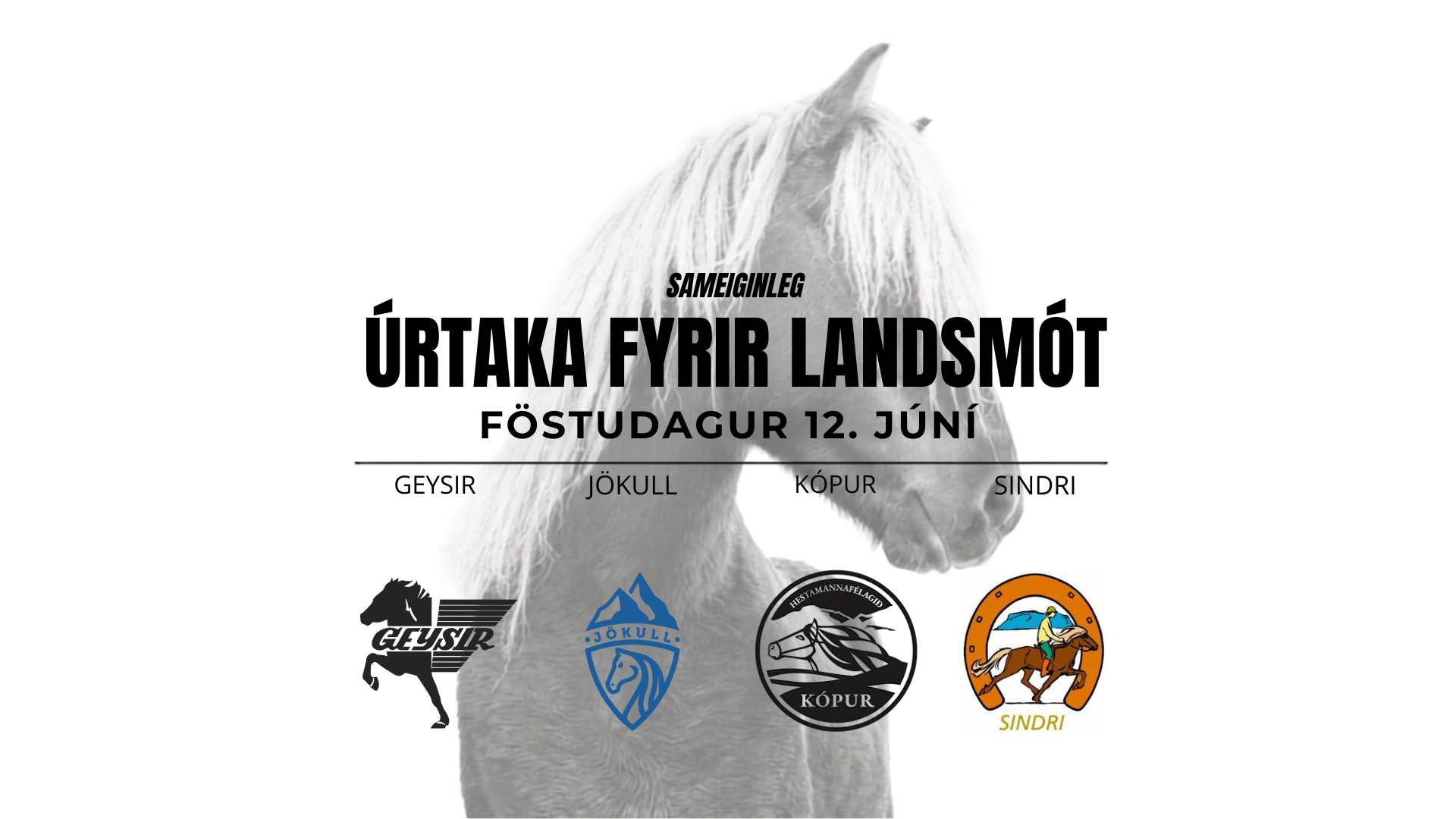 12. June - Landsmótsúrtaka Geysis, Jökuls, Kóps & Sindra