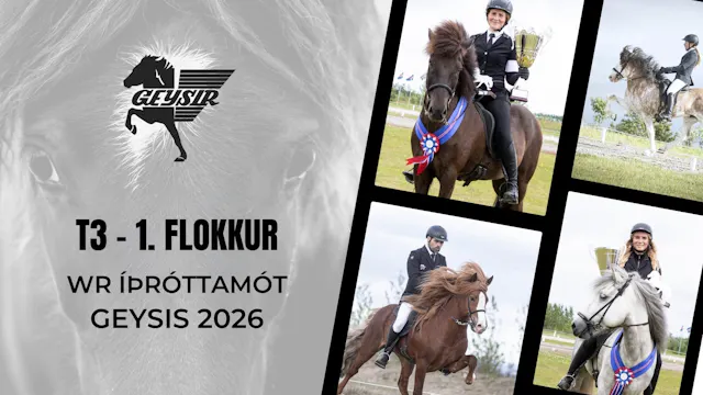 T3 1. flokkur - WR Íþróttamót Geysis