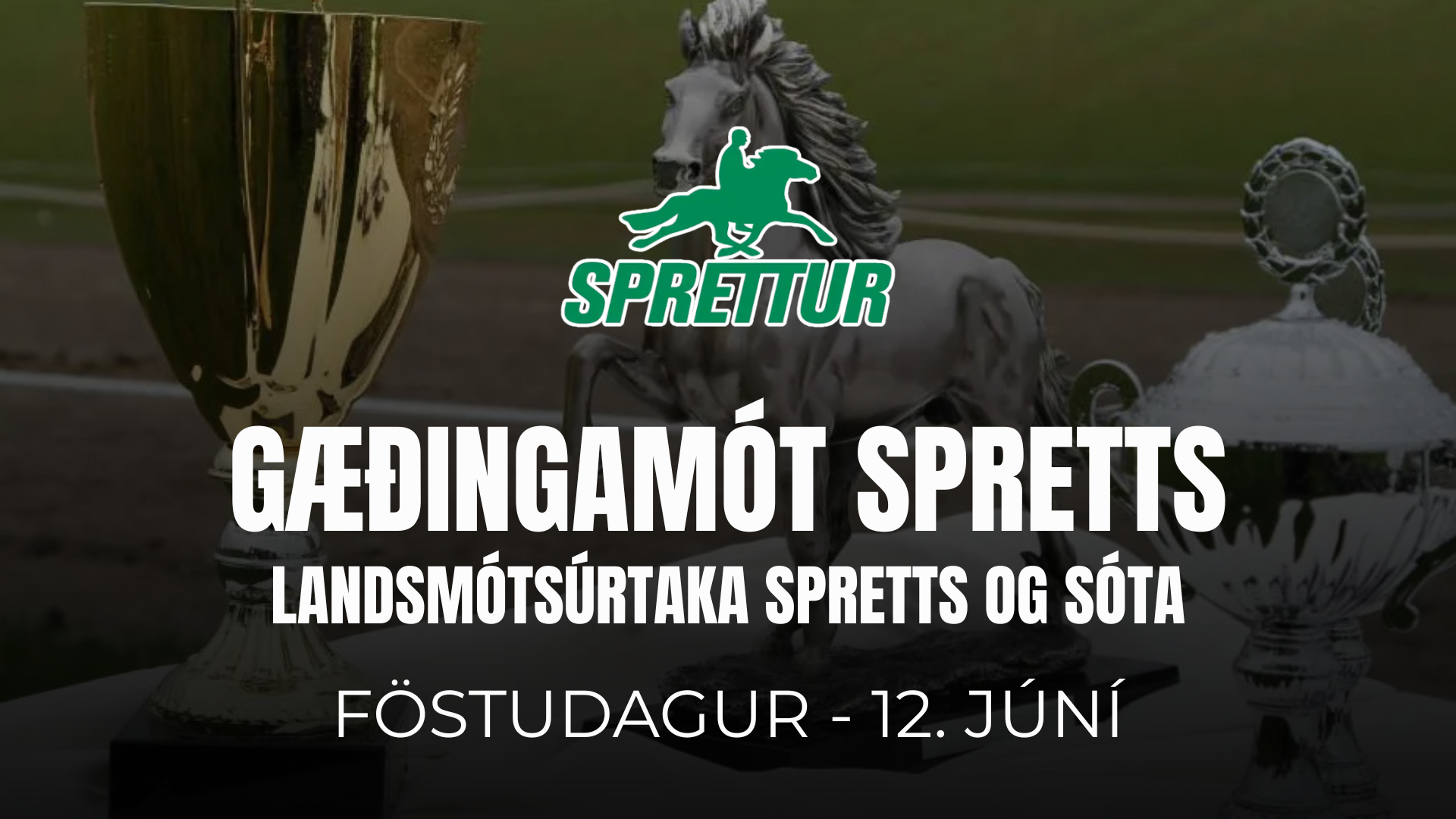 12. June - Gæðingamót og úrtaka Spretts og Sóta