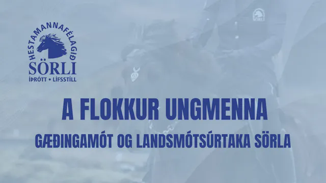 A flokkur ungmenna, seinni umferð - G...