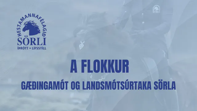 A flokkur, seinni umferð - Gæðingamót...