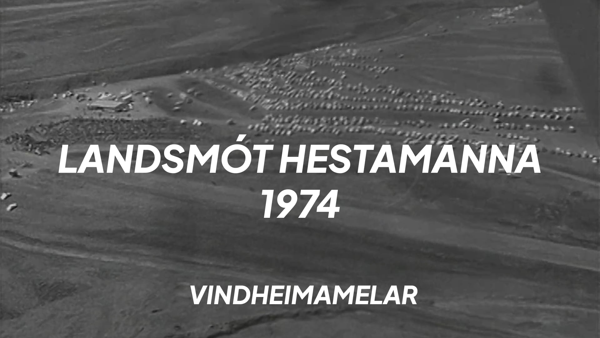 Landsmót 1974 á Vindheimamelum
