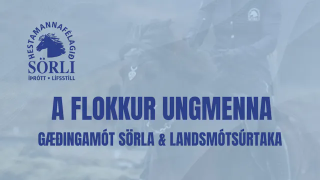 A flokkur ungmenna - Gæðingamót Sörla...