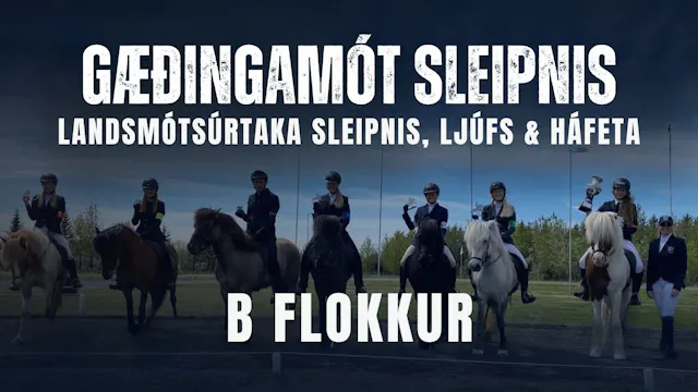 B flokkur - Gæðingamót Sleipnis og La...