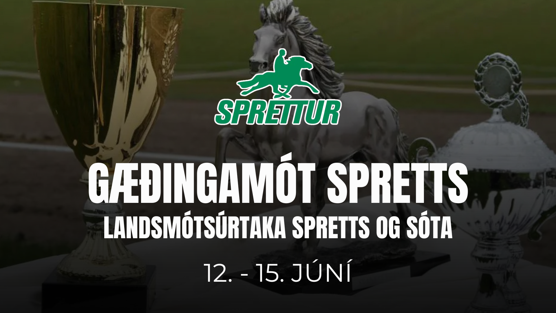 12. - 14. June - Gæðingamót og úrtaka Spretts og Sóta