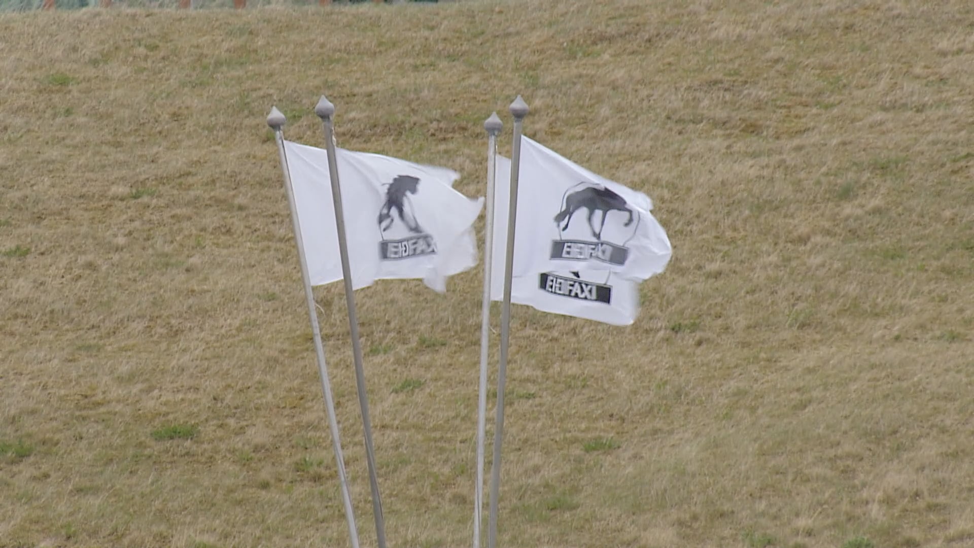 Tölt T1 - Meistaraflokkur - Forkeppni - Íþróttamót Spretts 2025