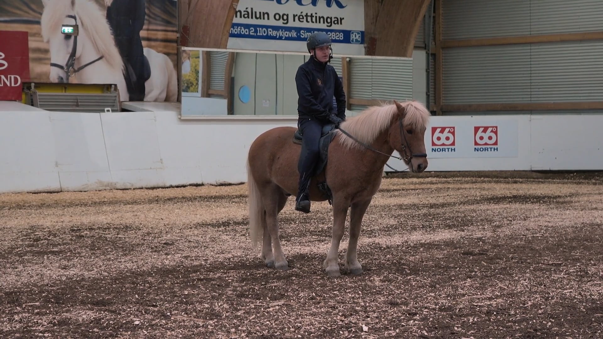 Hestadagar 2025 - Konráð Valur Sveinsson