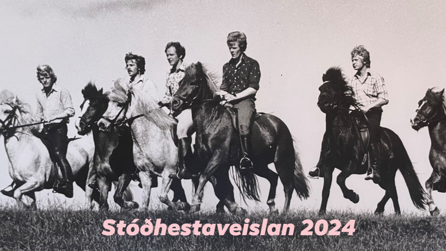 Stóðhestaveislan 2024