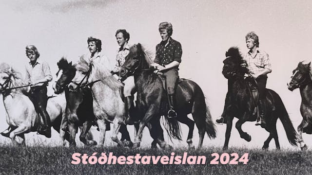 Stóðhestaveislan 2024