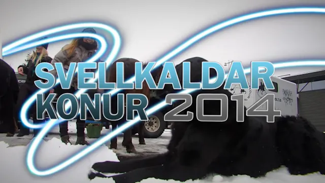 Svellkaldar konur 2014