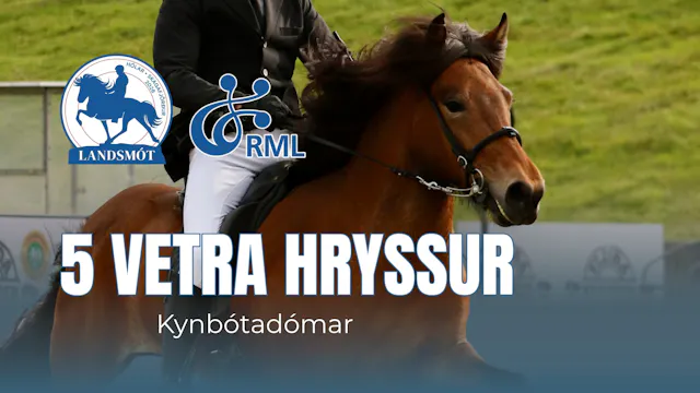 FIZO 5 year old mares - Landsmót hest...