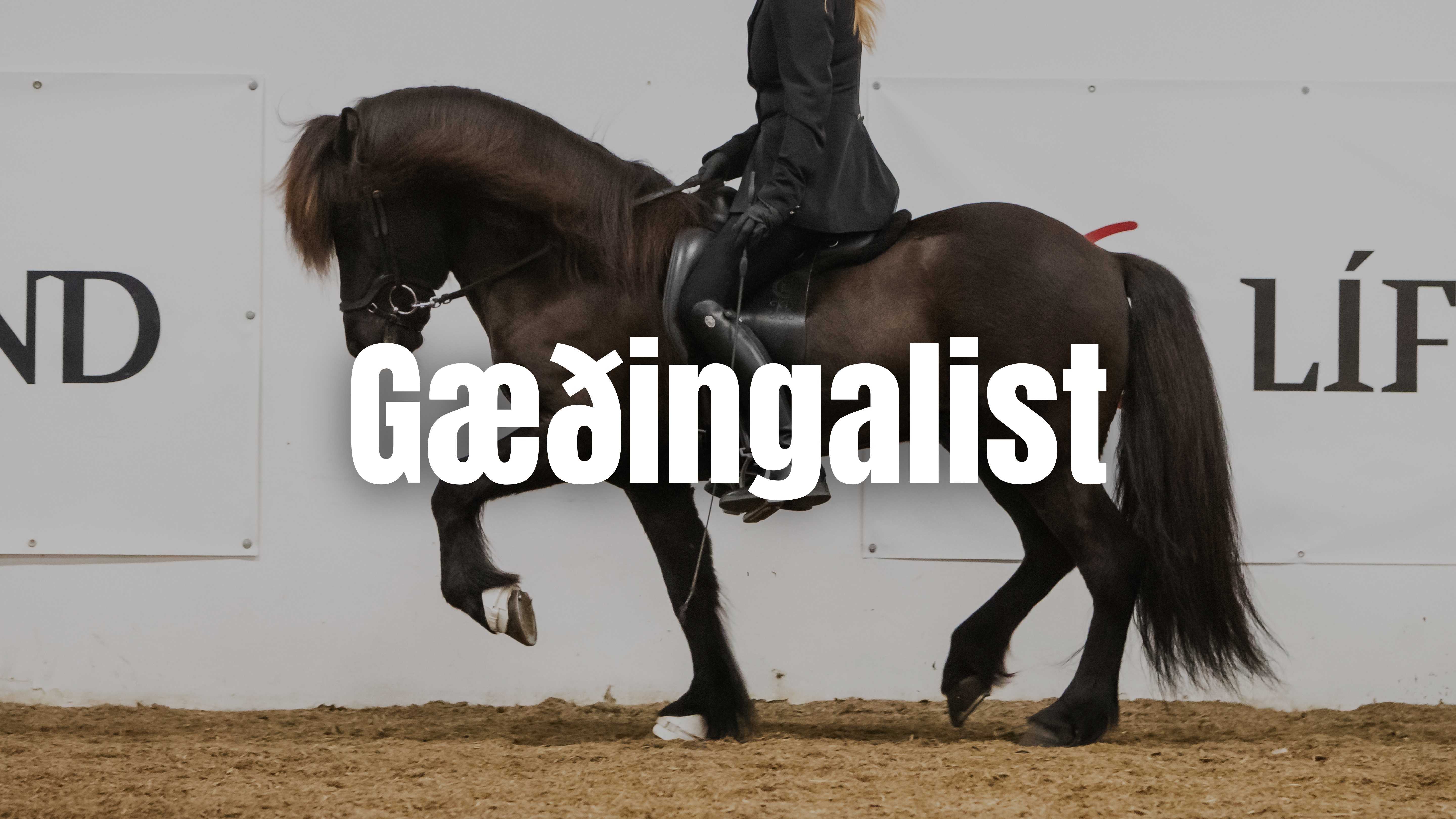 Meistaradeild 2025 - Gæðingalist