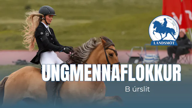 B finals Young Adults - Landsmót hest...