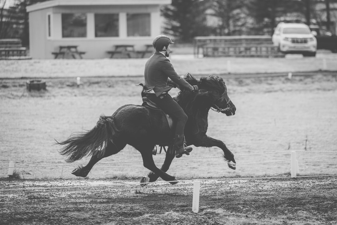 21. mars Meistaradeild Líflands - Gæðingaskeið og 150m skeið