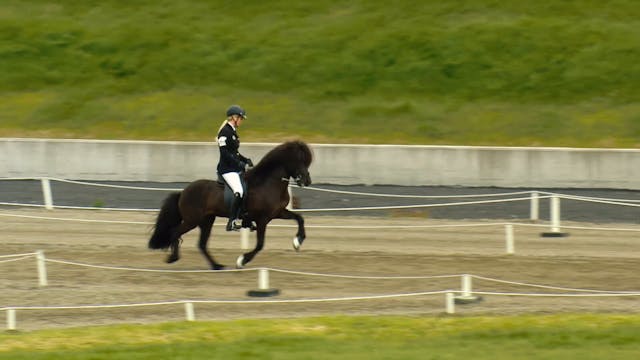 Afhverju gæðingakeppni