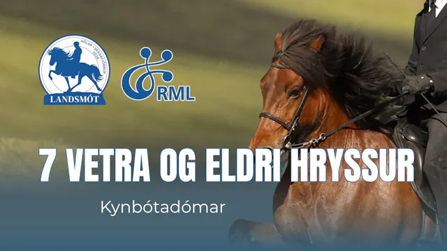FIZO 7 years old mares - Landsmót hes...