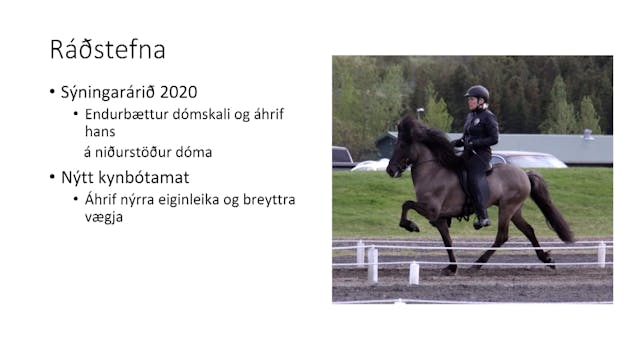 Sýningarárið 2020