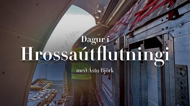 Dagur í Hrossaútflutningi