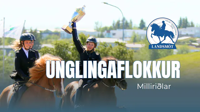 Teenage class semifinals - Landsmót h...