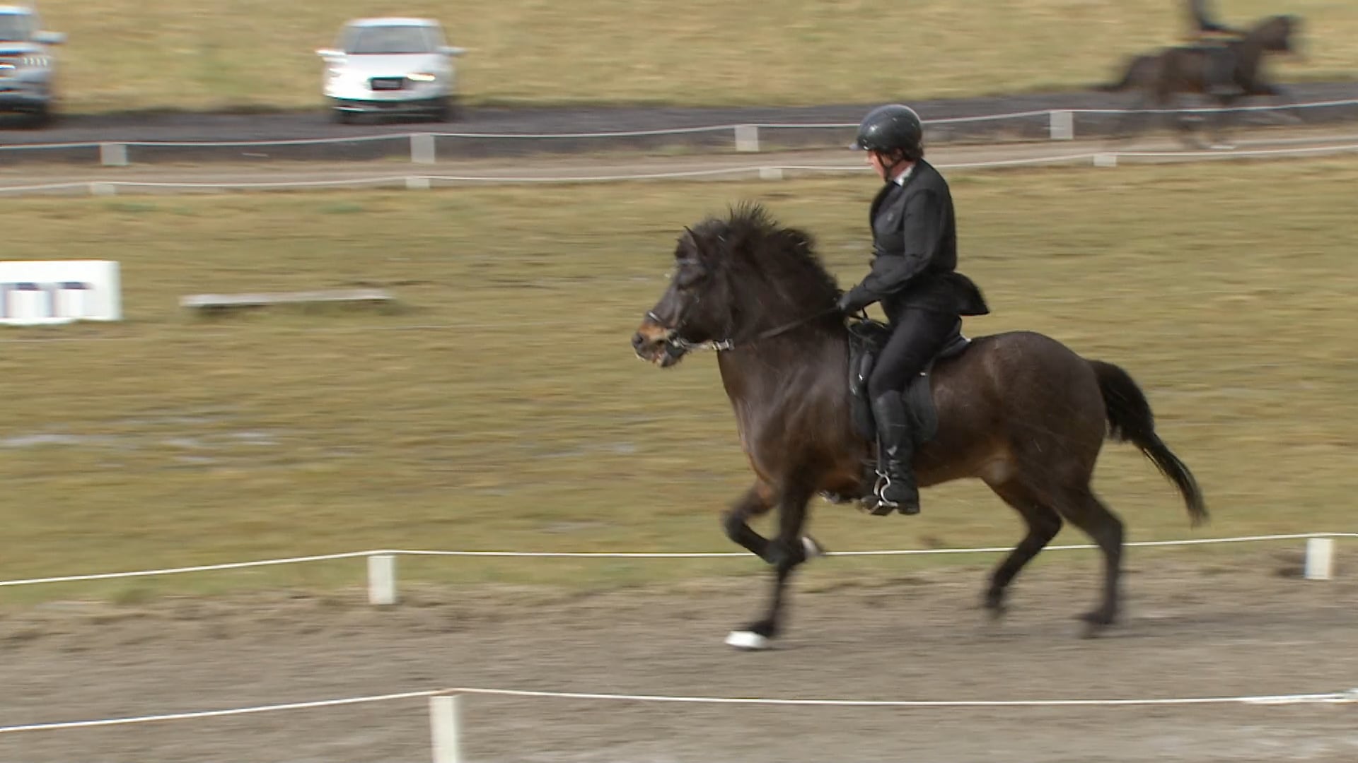 Tölt T7 - 1. flokkur - Forkeppni - Íþróttamót Spretts 2025